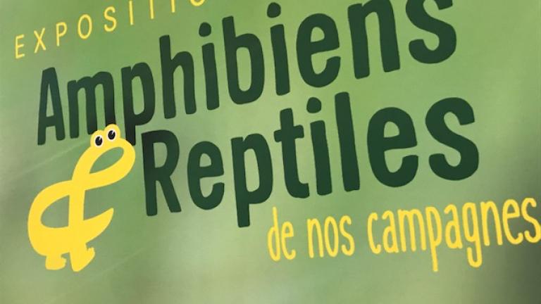Vignette exposition amphibiens