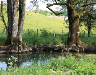 cycle de l'eau